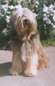 erbos4.gif(39 kb)